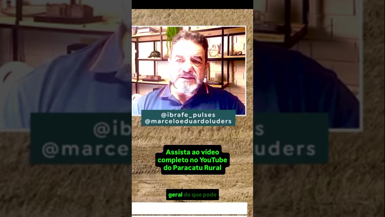 Preço do feijão: o piso inegociável para o produtor