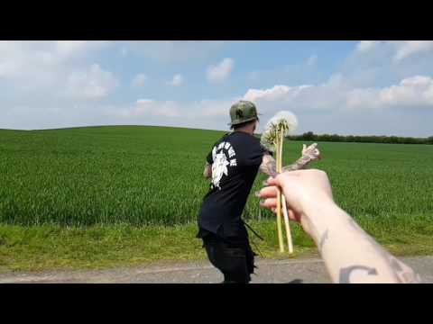 Michael Braun - Tornado kick