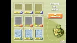 Turtle maze
