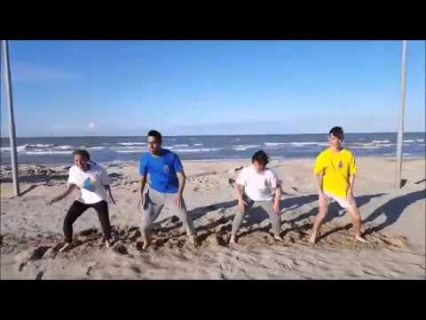 'Delfino's Equipe'   Sigla e coreografia ufficiale