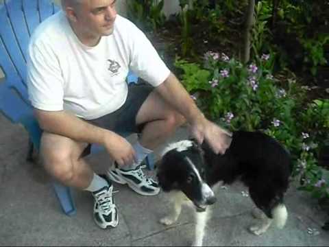 George Patton and Jelly Bean