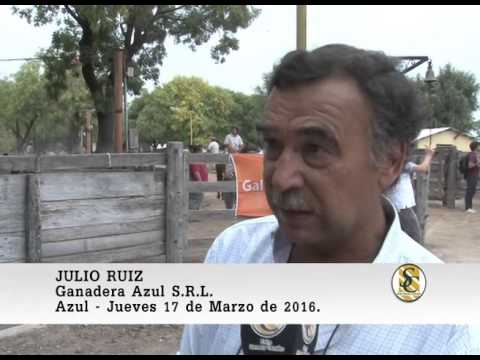 17-03-16 Nota Julio Ruiz - Nestor I. Goenaga y Ganadera Azul - Azul