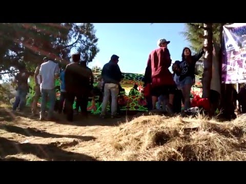 Datalordz / DMTryptamine Part 10