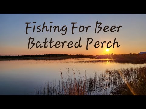 Fishing For Beer Battered Perch