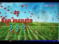 Julie Julie Whatsapp Status