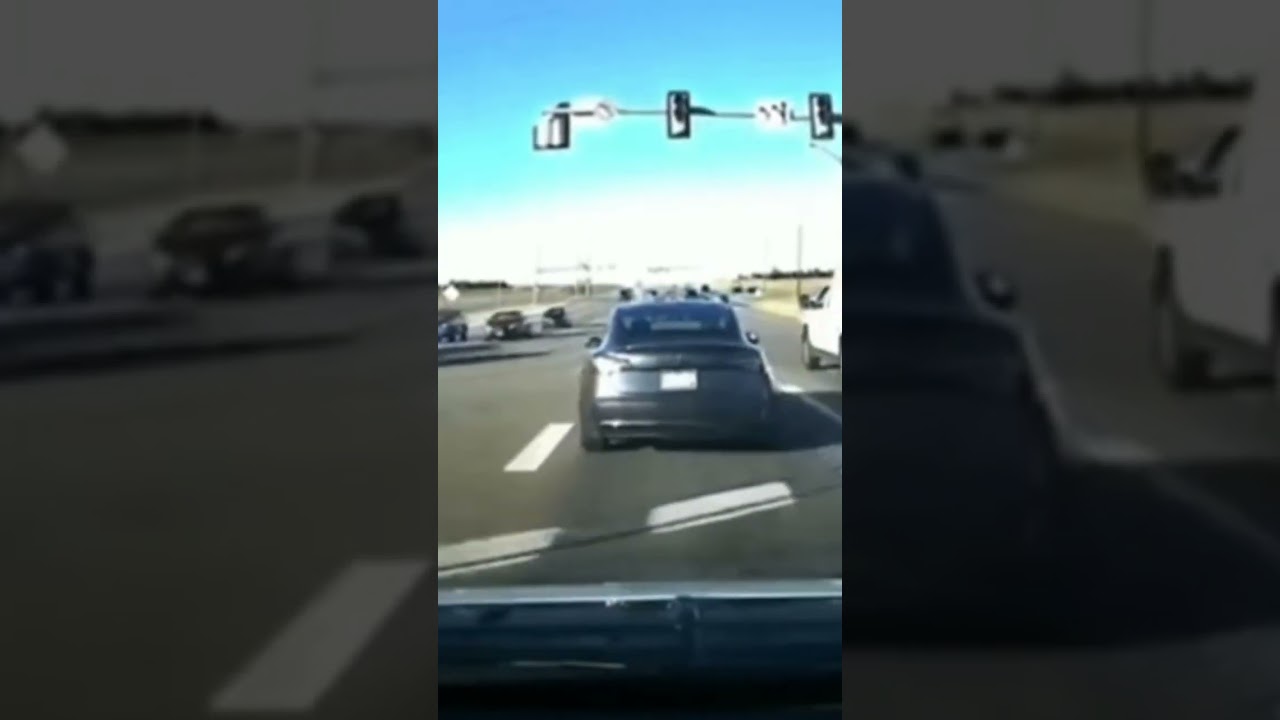 TESLA MODEL 3 STOPS ITSELF TO AVOID CRASH