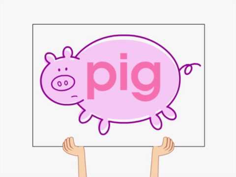 The big pig song