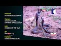 Three snakes on the Courtyard Tree shocks family | Vava Suresh | Snakemaster | EP 391