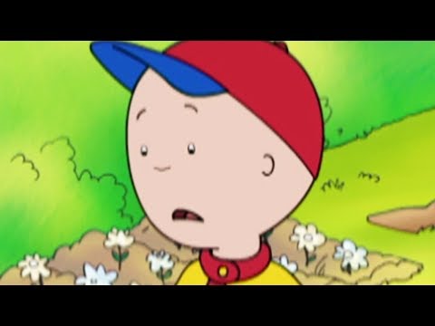 Caillou 402 - כולם הכי טוב / חזק כל יום / לא עוד הדרכה גלגלים