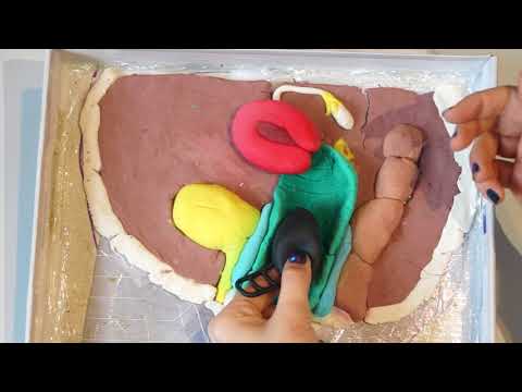 Merula Cup - Tipps & Tricks