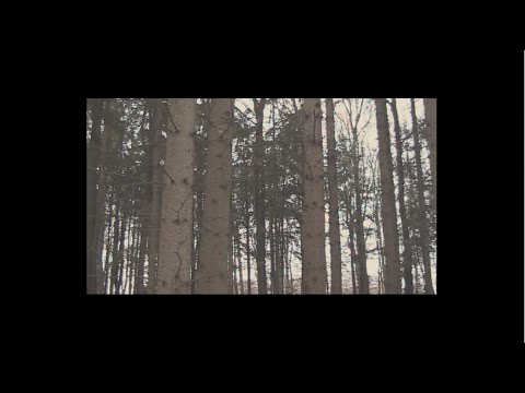 NEWPORT FEAT. CLAWSG & THAD - WALD (PROD. NEWPORT)