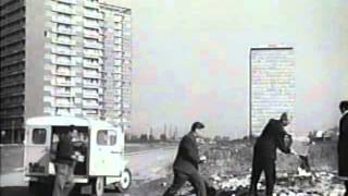 Love Affair: Rats/Ljubavni slučaj: Pacovi