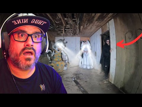 Hidden cameras record something incredible in the Dollhouse - Analysis -