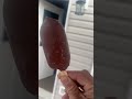 Bing Chilling Ft John Cena Ice Cream Viral Shorts