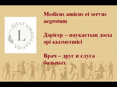 Medicus amicus et servus aegrotum