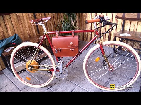 Rayvolt Ambassador Electric Bike Walkaround Tour - 2020 Model