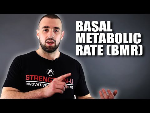 Basal Metabolic Rate
