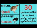 30 Birds Name In Tamil And English With Pictures Spoken English For Children