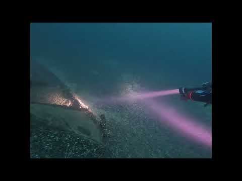 St Prex Plage 10 octobre 2022