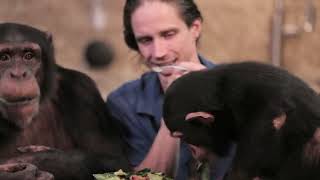 Chimp Family Dinner! Summer Salads & Strawberry Shortcake 🍓🥗