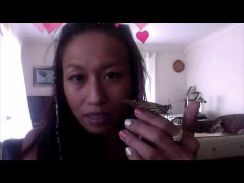 The House of Aurora Butterfly Transmissions : #1...