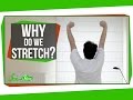 Why Do We Stretch In The Morning