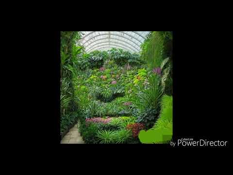 Zozako ft 50 Cent (DJ Bark ) 💚💛❤🔥🔥🔥