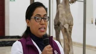 EN DICIEMBRE, DURANGO RECIBE LA EXPOSICIÓN “MAMUT DE ECATEPEC, EL GIGANTE DE LA PREHISTORIA”, UNA EX