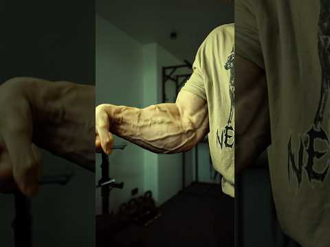 TOP 3 Forearm Exercises