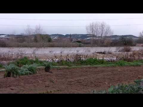 Crecida Ebro Arrúbal 1/02/2015
