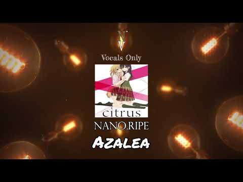 Azalea - Vocals Only (Acapella) | nano.RIPE | Citrus