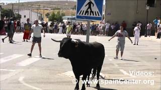 preview picture of video 'Encierro Toros y Vaquilla en Peñas de San Pedro'