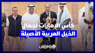 الرباط تختتم كأس الإمارات العالمي لجمال الخيل العربية الأصيلة thumbnail