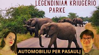 Važiuojam per Pietų Afriką! (kiek žvėrių per dieną?) | AŽ Automobiliu per pasaulį