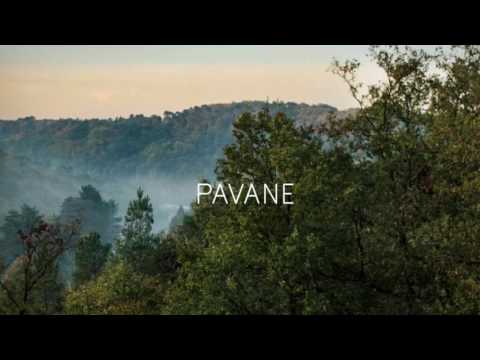 PAVANE - Percées