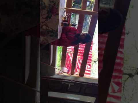 Vedeta (Veta) prajesti city