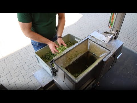 KWS Mais-Blog 2019 - Teil 11 (TS-Gehalt-Bestimmung mit dem KroQ)