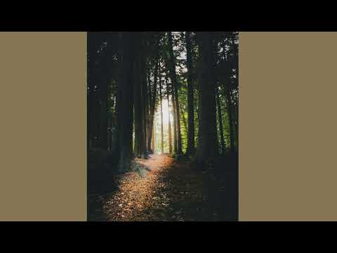 Images and Sketches By A.Alvarado performed by Berlin String Sessions