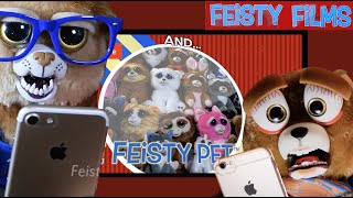 Feisty Pets React to Themselves: It’s a Feisty Frenzy!