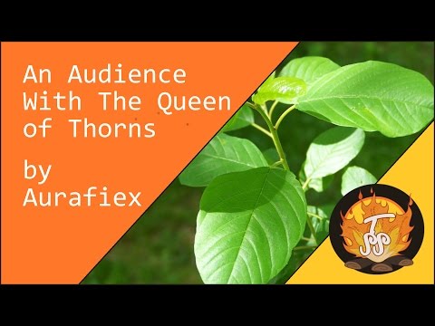 Wry Fantasy Adventure | An Audience With The Queen Of Thorns