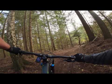 MTB Trail Woudenberg (Henschoten), The Netherlands | Cube Stereo Hybrid 140 2020