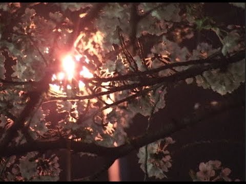 YUMI TSUKUDA OFF HORIEGUMI/ THE FINAL HORIVIDEO