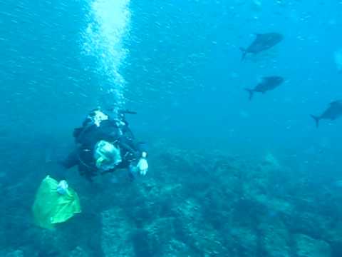 Rock Pile (Box Wreck)