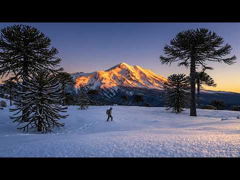 LONQUIMAY - NIEVE ENCENDIDA