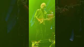 Are jam bands your thing? #comedy #standup #gratefuldead