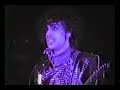 Prince • A Case of You • Live • 1983 • [Joni Mitchell Cover]
