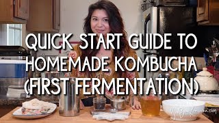 Quick Start Guide to Homemade Kombucha (First Fermentation)