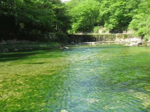 Formula jedan Spektar