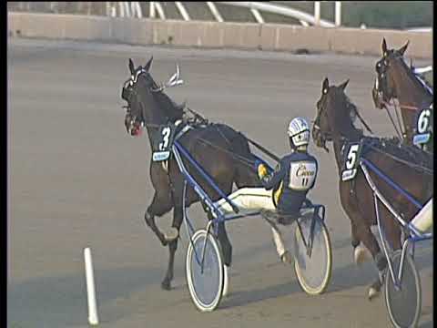 Trotto 26/01/2018 - 4ª corsa