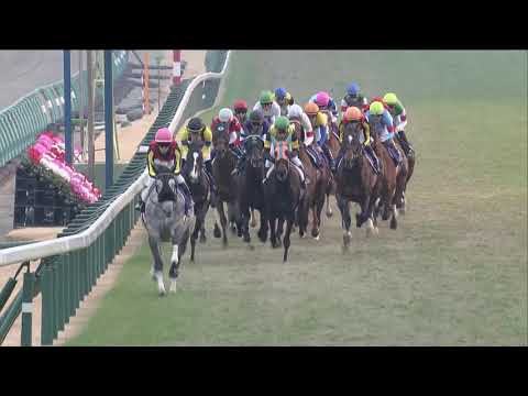 2019 Arima Kinen (Grand Prix) (G1)